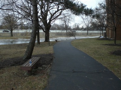 My running trail: notice the frozen pond behind.